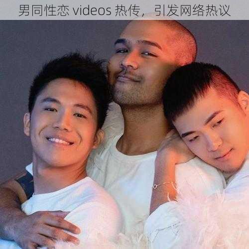 男同性恋 videos 热传，引发网络热议