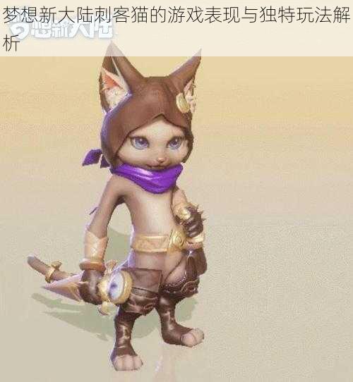 梦想新大陆刺客猫的游戏表现与独特玩法解析