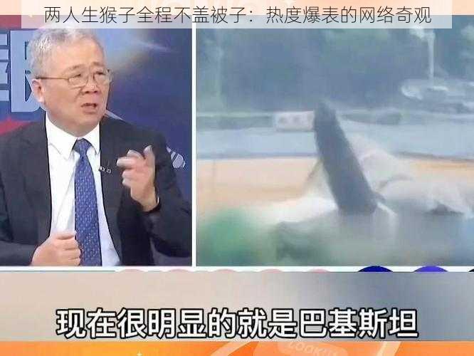 两人生猴子全程不盖被子:热度爆表的网络奇观