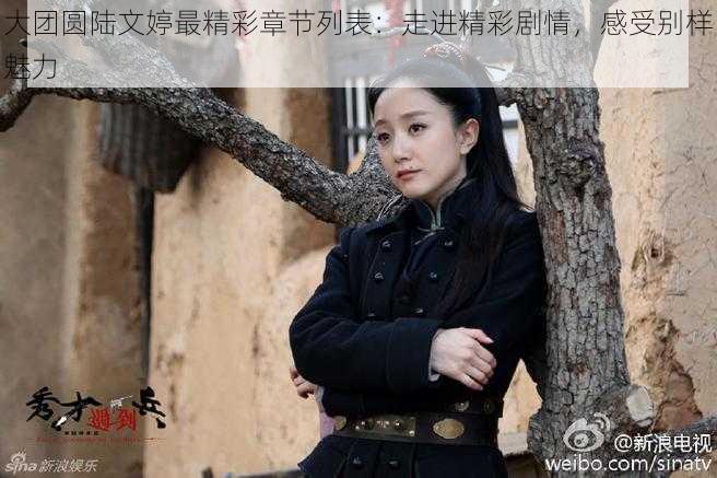 大团圆陆文婷最精彩章节列表:走进精彩剧情,感受别样魅力