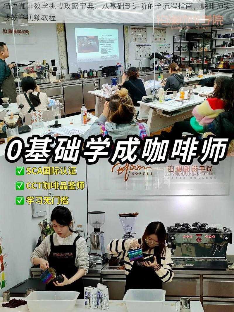 猫语咖啡教学挑战攻略宝典:从基础到进阶的全流程指南,咖啡师实战教学视频教程