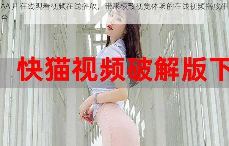 AA 片在线观看视频在线播放,带来极致视觉体验的在线视频播放平台