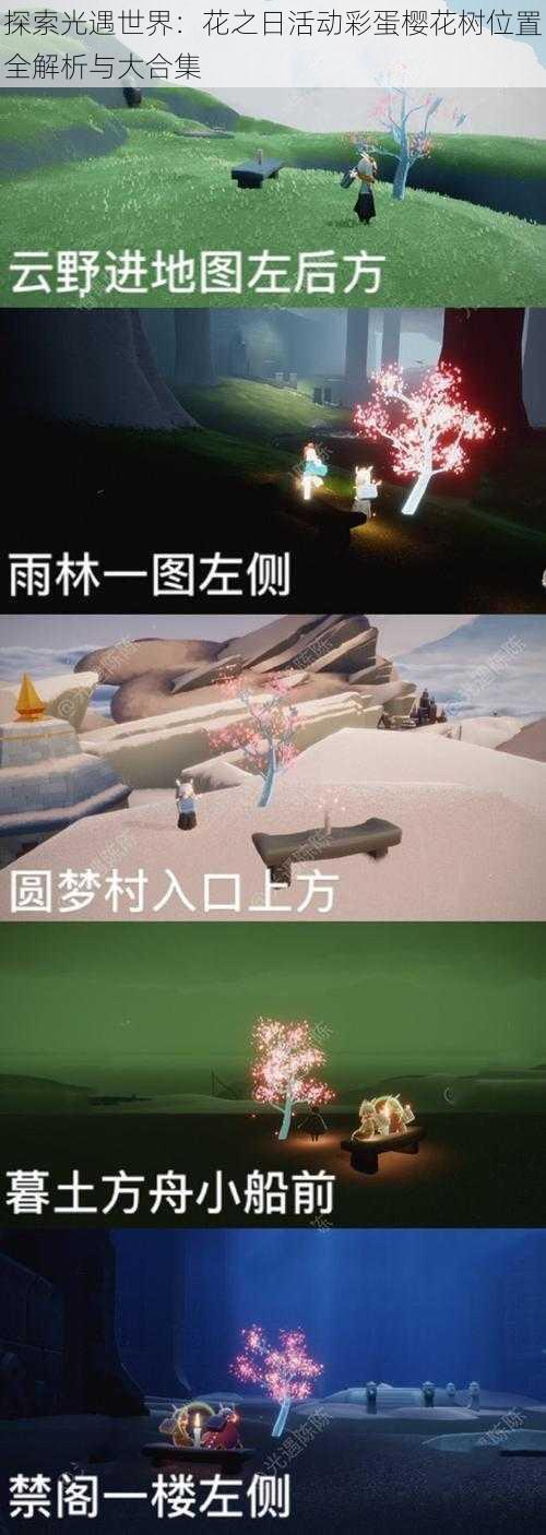 探索光遇世界:花之日活动彩蛋樱花树位置全解析与大合集