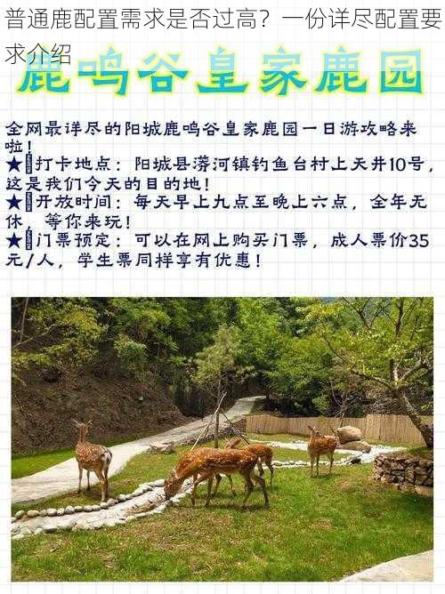 普通鹿配置需求是否过高?一份详尽配置要求介绍