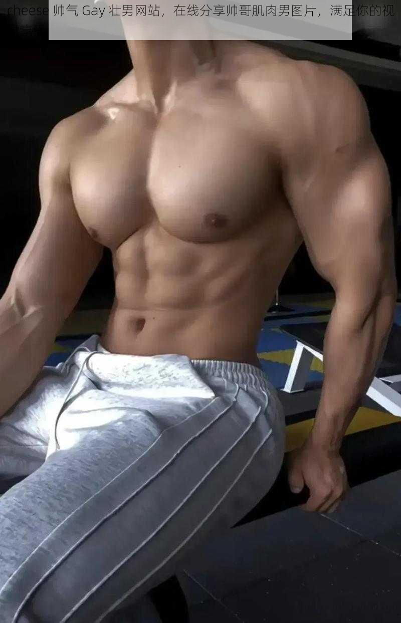 cheese 帅气 Gay 壮男网站,在线分享帅哥肌肉男图片,满足你的视觉享受