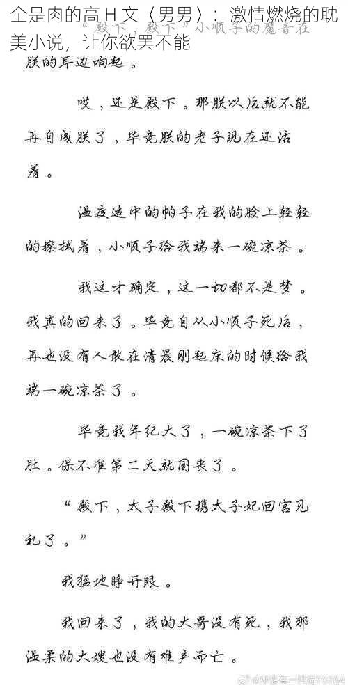 全是肉的高 H 文〈男男〉:激情燃烧的耽美小说,让你欲罢不能