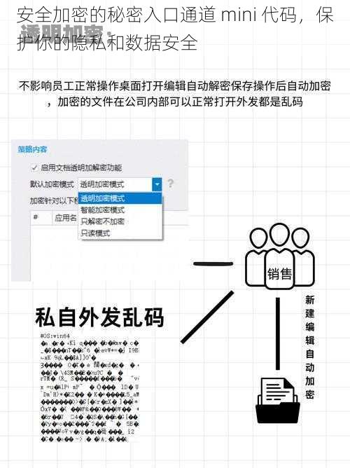 安全加密的秘密入口通道 mini 代码，保护你的隐私和数据安全