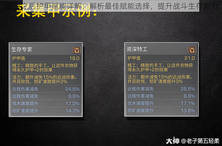 明日之后护甲赋能详解:解析最佳赋能选择,提升战斗生存能力