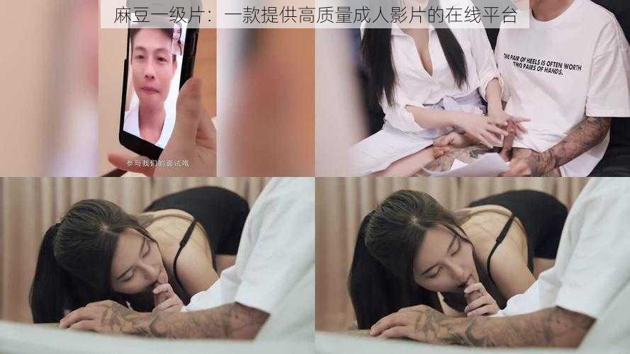 麻豆一级片:一款提供高质量成人影片的在线平台