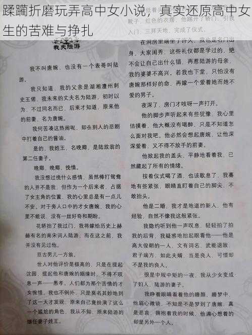 蹂躏折磨玩弄高中女小说,真实还原高中女生的苦难与挣扎