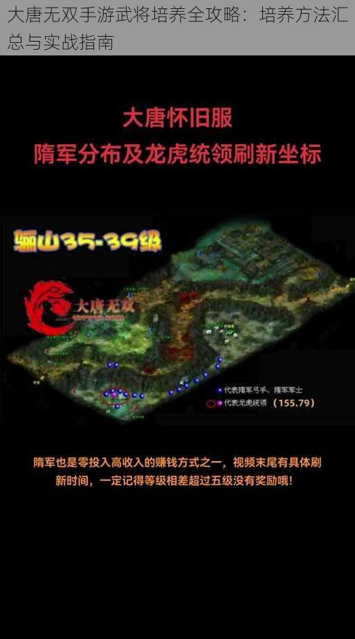 大唐无双手游武将培养全攻略：培养方法汇总与实战指南