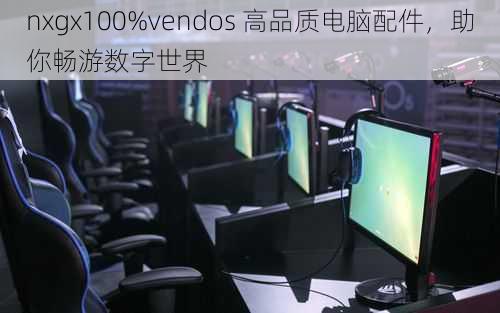 nxgx100%vendos 高品质电脑配件，助你畅游数字世界