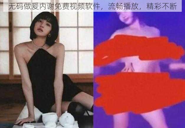 无码做爰内谢免费视频软件，流畅播放，精彩不断