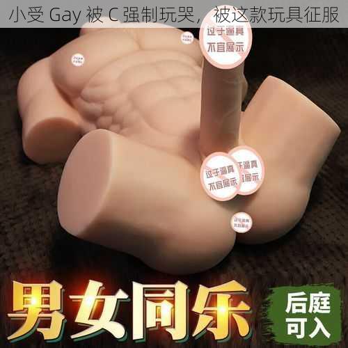 小受 Gay 被 C 强制玩哭，被这款玩具征服