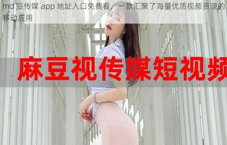 md 豆传媒 app 地址入口免费看,一款汇聚了海量优质视频资源的移动应用