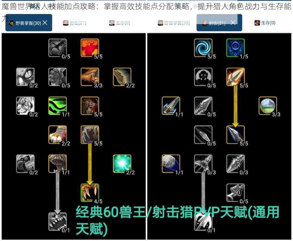 魔兽世界猎人技能加点攻略：掌握高效技能点分配策略，提升猎人角色战力与生存能力