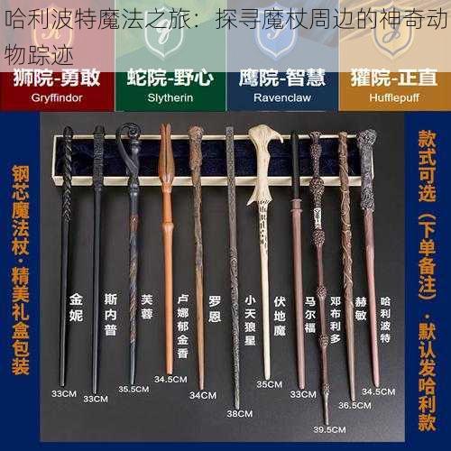 哈利波特魔法之旅：探寻魔杖周边的神奇动物踪迹