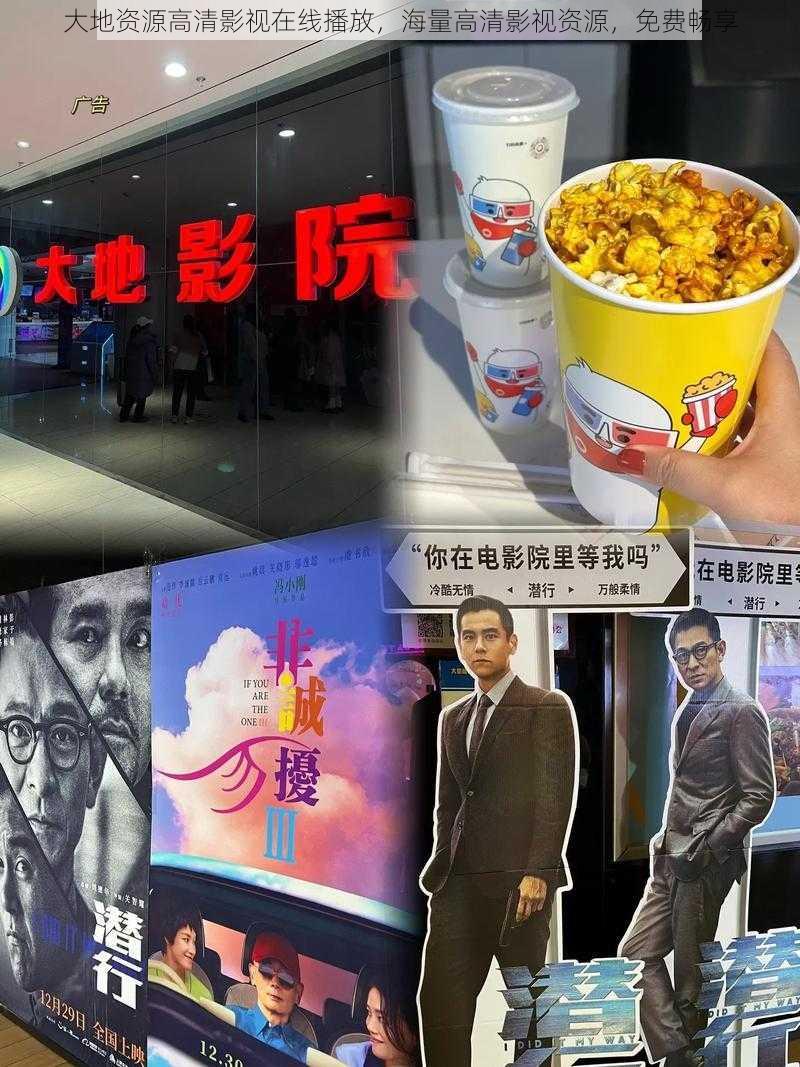 大地资源高清影视在线播放，海量高清影视资源，免费畅享