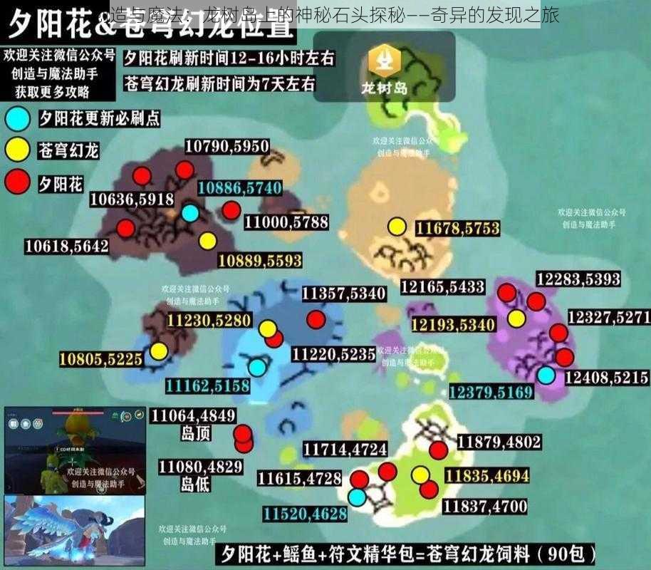 创造与魔法:龙树岛上的神秘石头探秘——奇异的发现之旅