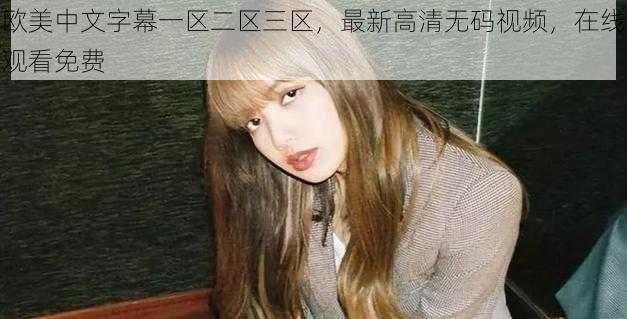 欧美中文字幕一区二区三区,最新高清无码视频,在线观看免费