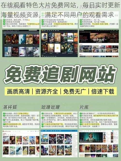 在线观看特色大片免费网站,每日实时更新海量视频资源,满足不同用户的观看需求