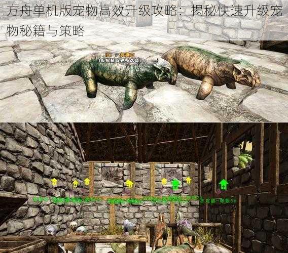 方舟单机版宠物高效升级攻略:揭秘快速升级宠物秘籍与策略