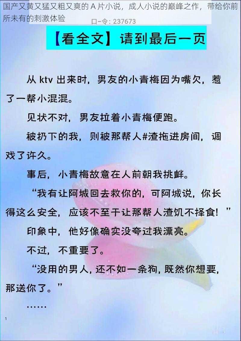 国产又黄又猛又粗又爽的 A 片小说，成人小说的巅峰之作，带给你前所未有的刺激体验