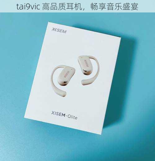 tai9vic 高品质耳机，畅享音乐盛宴