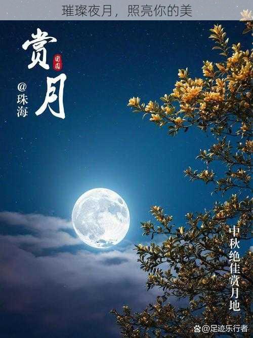 璀璨夜月，照亮你的美