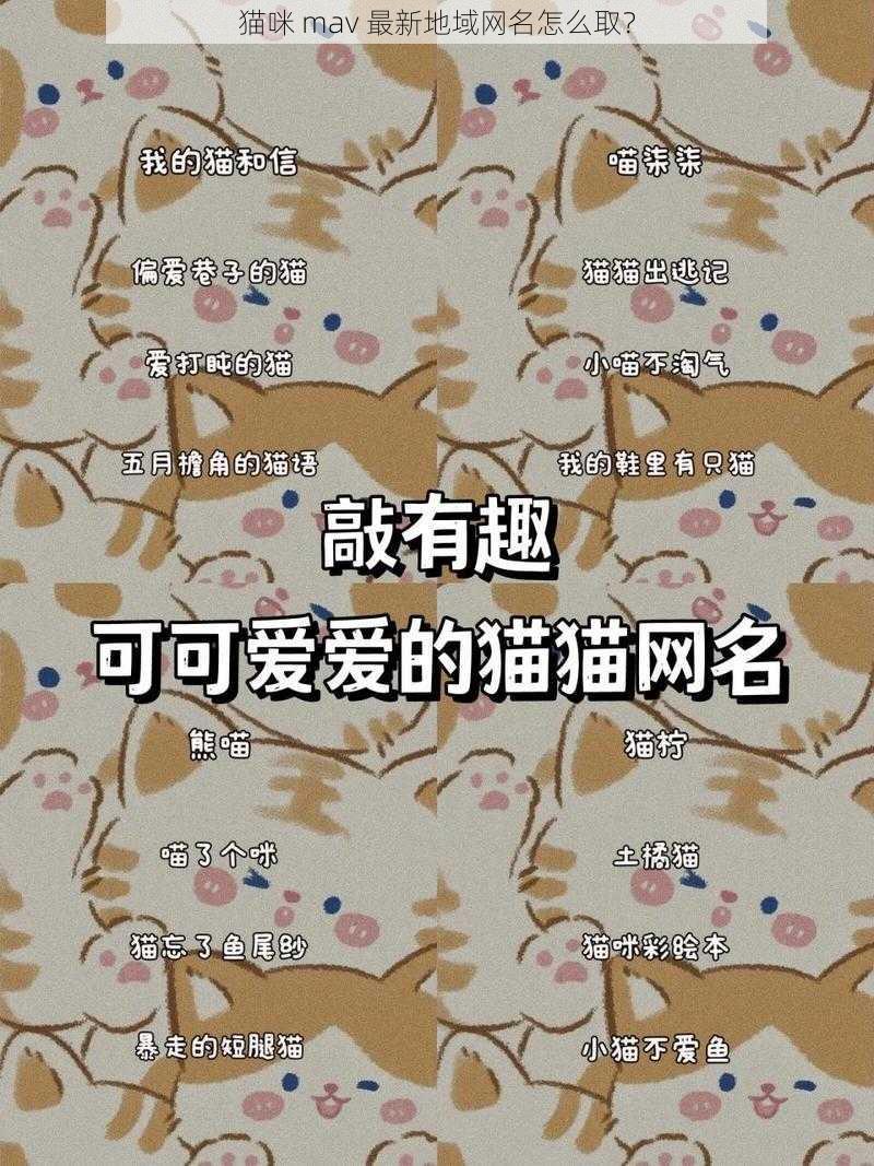 猫咪 mav 最新地域网名怎么取？