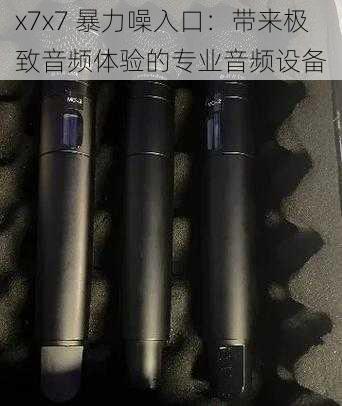 x7x7 暴力噪入口：带来极致音频体验的专业音频设备