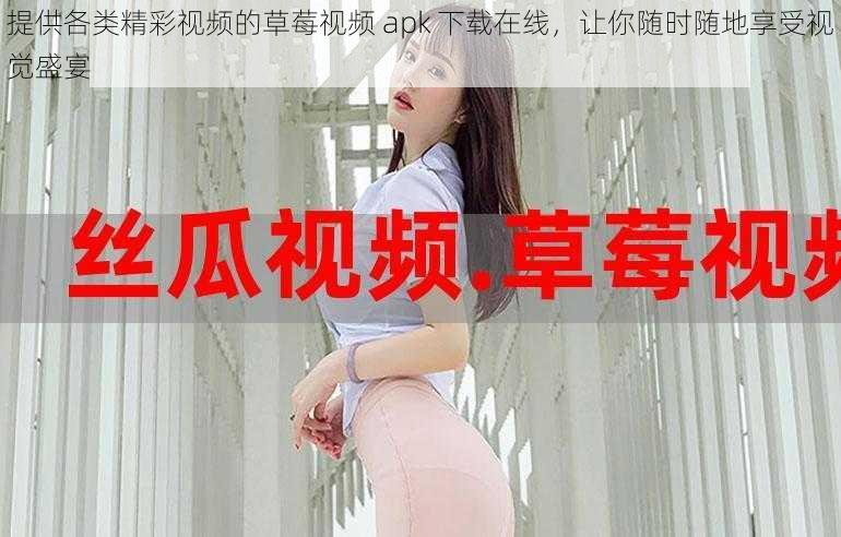 提供各类精彩视频的草莓视频 apk 下载在线，让你随时随地享受视觉盛宴