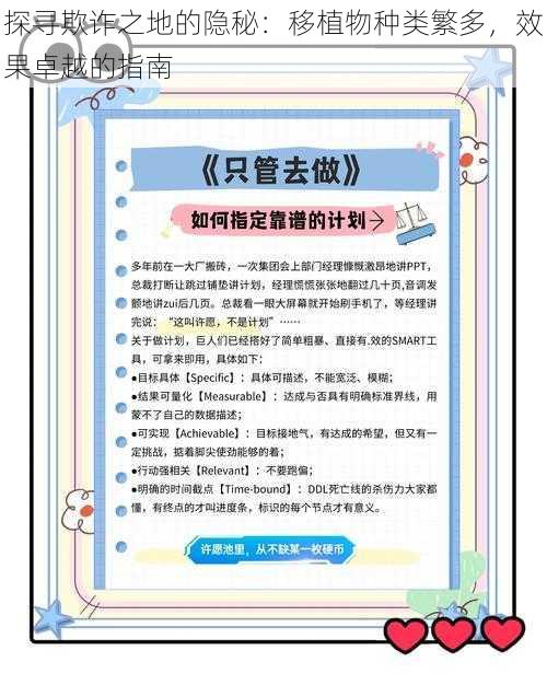 探寻欺诈之地的隐秘：移植物种类繁多，效果卓越的指南