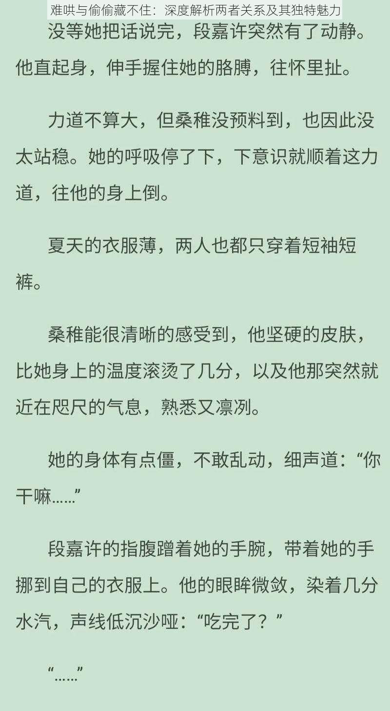 难哄与偷偷藏不住：深度解析两者关系及其独特魅力