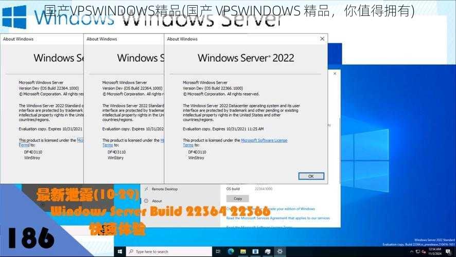 国产VPSWINDOWS精品(国产 VPSWINDOWS 精品，你值得拥有)