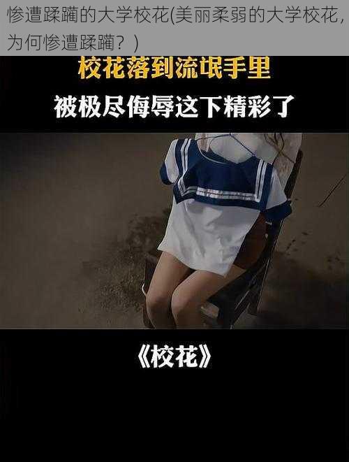 惨遭蹂躏的大学校花(美丽柔弱的大学校花，为何惨遭蹂躏？)