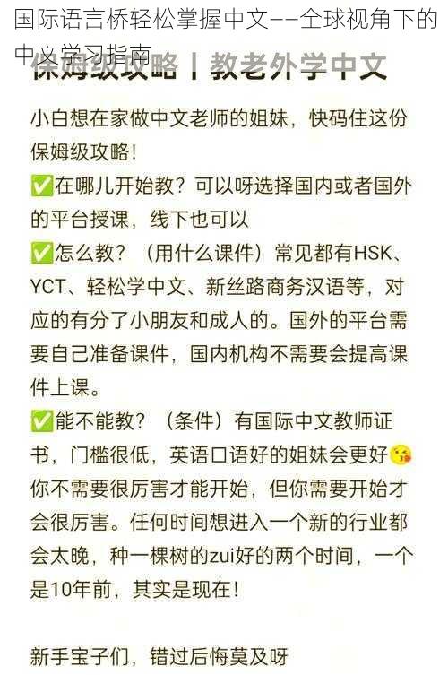 国际语言桥轻松掌握中文——全球视角下的中文学习指南