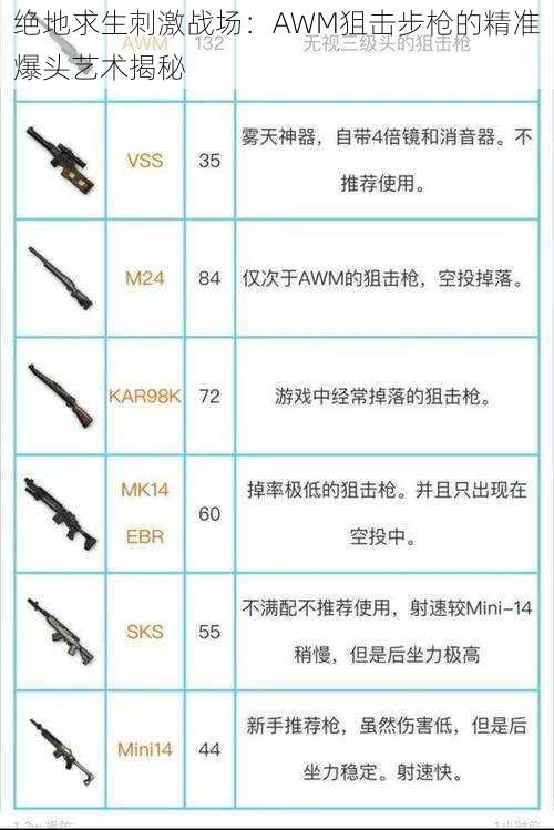 绝地求生刺激战场：AWM狙击步枪的精准爆头艺术揭秘