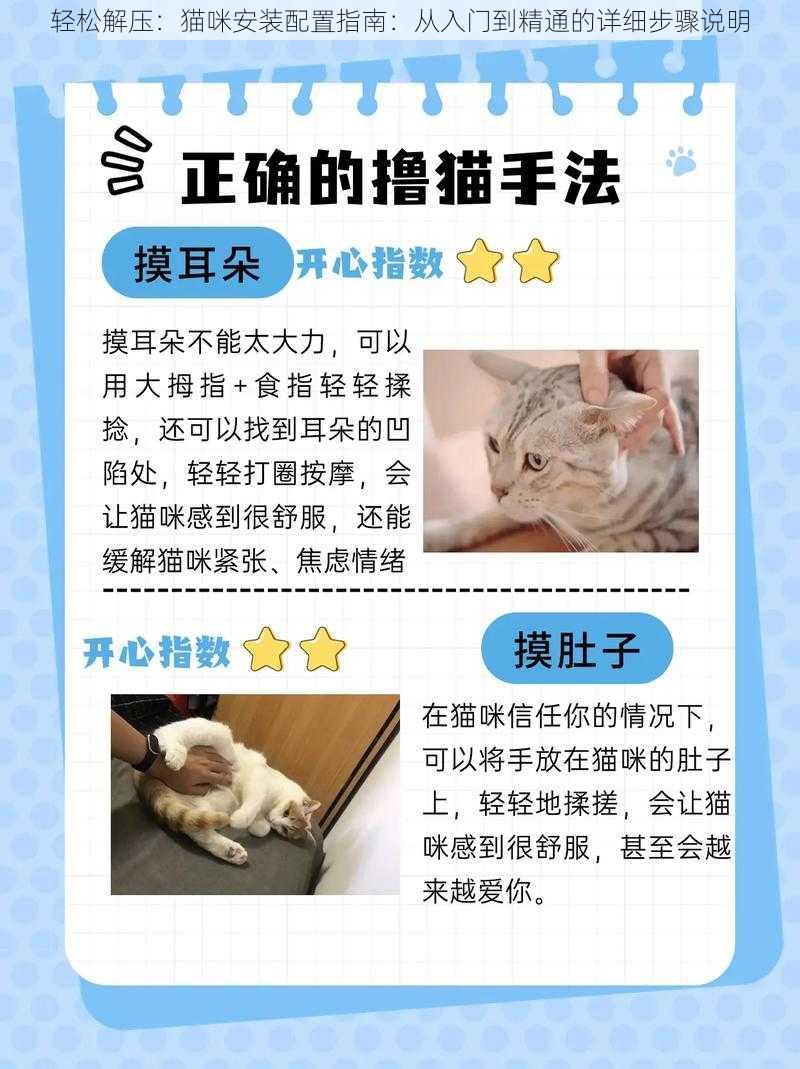 轻松解压：猫咪安装配置指南：从入门到精通的详细步骤说明