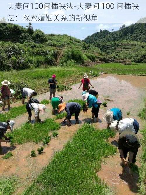 夫妻间100间插秧法-夫妻间 100 间插秧法：探索婚姻关系的新视角