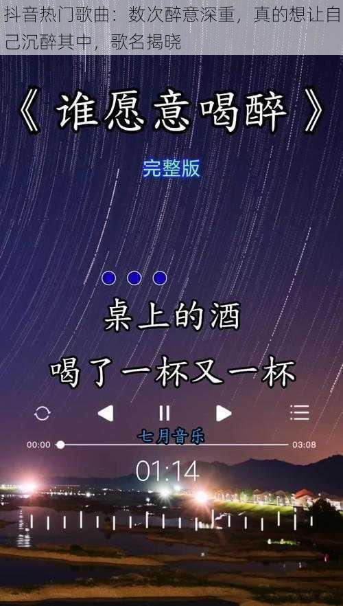 抖音热门歌曲：数次醉意深重，真的想让自己沉醉其中，歌名揭晓