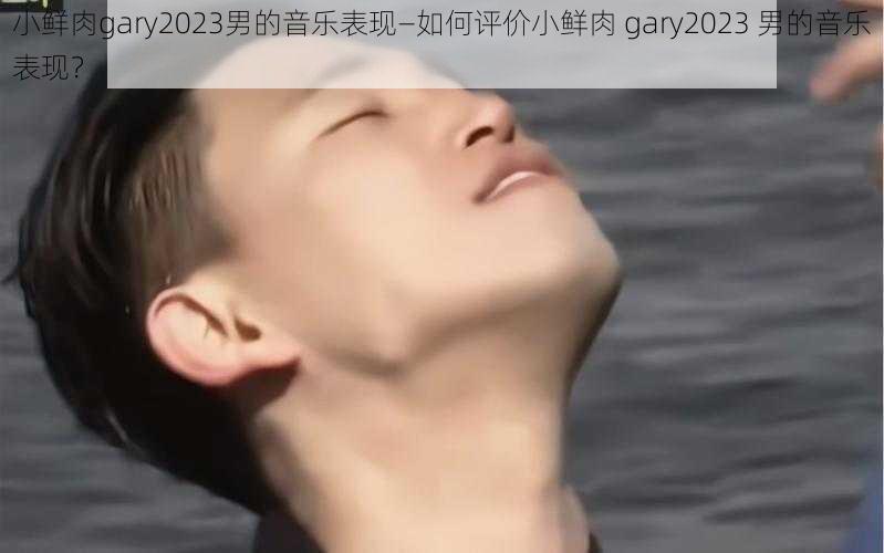 小鲜肉gary2023男的音乐表现—如何评价小鲜肉 gary2023 男的音乐表现？