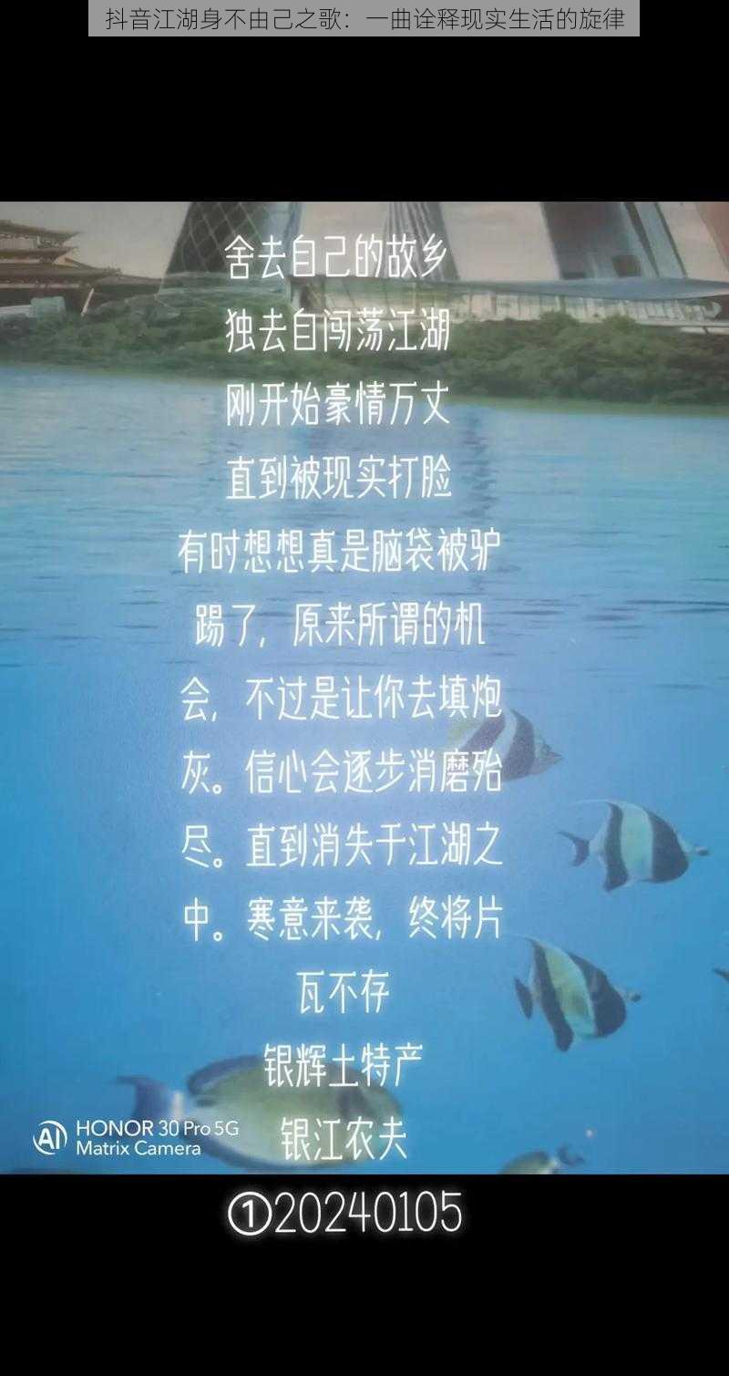 抖音江湖身不由己之歌：一曲诠释现实生活的旋律