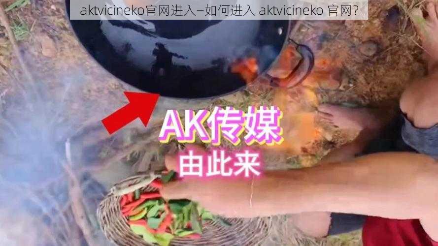 aktvicineko官网进入—如何进入 aktvicineko 官网？