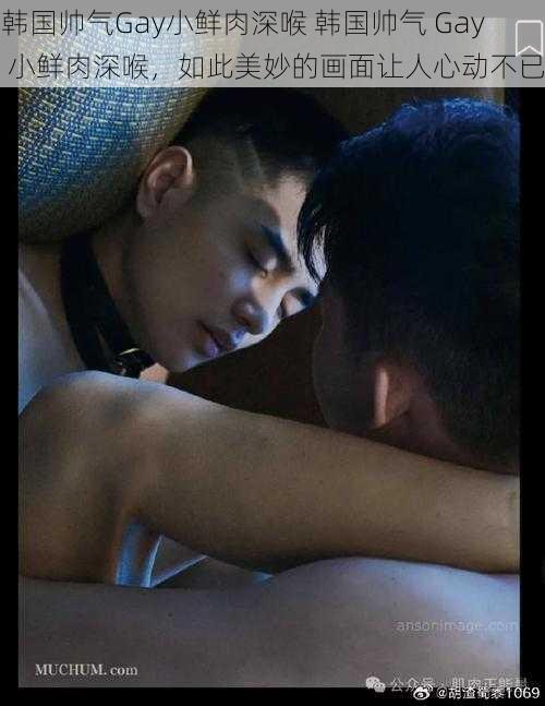 韩国帅气Gay小鲜肉深喉 韩国帅气 Gay 小鲜肉深喉,如此美妙的画面让人心动不已