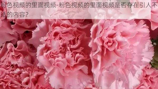 粉色视频的里面视频-粉色视频的里面视频是否存在引人不适的内容?