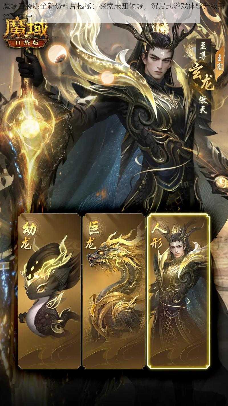 魔域口袋版全新资料片揭秘:探索未知领域,沉浸式游戏体验升级新篇章开启