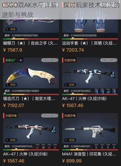 CSGO双AK水平详解：探讨玩家技术层次的进阶与挑战