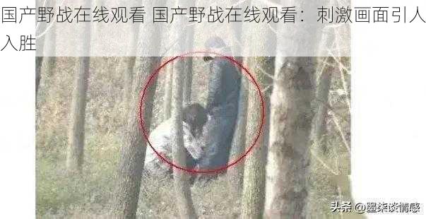国产野战在线观看 国产野战在线观看:刺激画面引人入胜