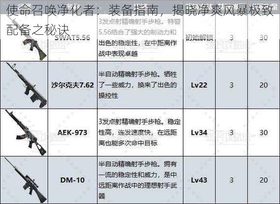 使命召唤净化者：装备指南，揭晓净爽风暴极致配备之秘诀